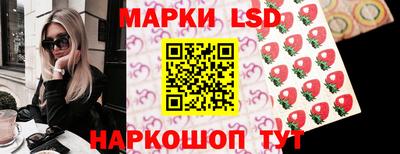 a pvp Новозыбков