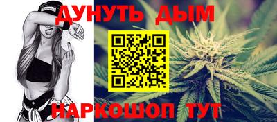 альфа пвп Новодвинск