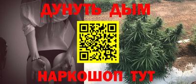 a pvp Новозыбков