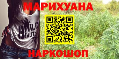 альфа пвп Новодвинск