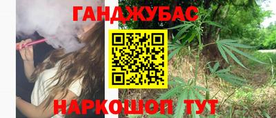 альфа пвп Новодвинск