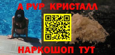 a pvp Новозыбков