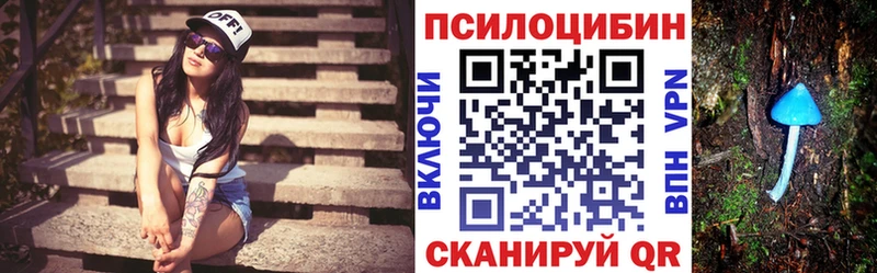 где купить Минусинск Галлюциногенные грибы GOLDEN TEACHER