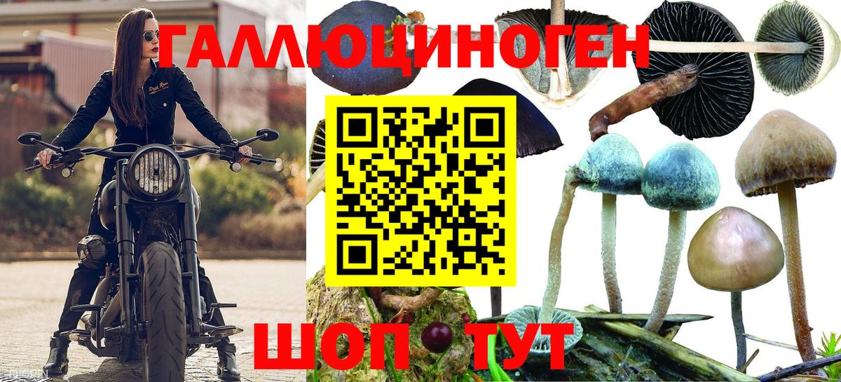 Псилоцибиновые грибы Cubensis  Галлюциногенные грибы Psilocybe  Минусинск  Вход с VPN 