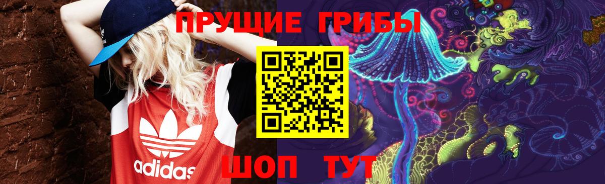 Псилоцибиновые грибы мухоморы Минусинск