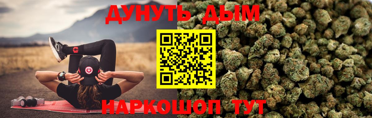 Каннабис OG Kush Минусинск